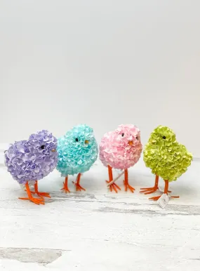 Hydrangea Chicks